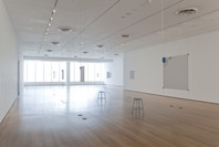 Bruce Nauman: Days. Jun 2–Aug 23, 2010.
