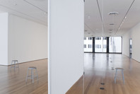 Bruce Nauman: Days. Jun 2–Aug 23, 2010.