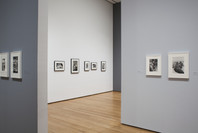 Henri Cartier-Bresson: The Modern Century. Apr 11–Jun 28, 2010. 1 other work identified