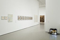 Contemporary Art from the Collection. Jun 30, 2010–Sep 19, 2011.