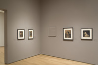 Beyond the Visible: The Art of Odilon Redon. Oct 30, 2005–Jan 23, 2006. 3 other works identified