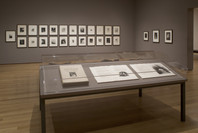 Beyond the Visible: The Art of Odilon Redon. Oct 30, 2005–Jan 23, 2006. 28 other works identified