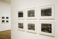 John Szarkowski: Photographs. Feb 1–May 15, 2006. 1 other work identified