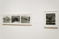 John Szarkowski: Photographs. Feb 1–May 15, 2006. 1 other work identified