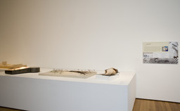 Installation photo, 26 of 51