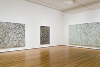 Brice Marden: A Retrospective of Paintings and Drawings. Oct 29, 2006–Jan 15, 2007.