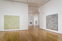 Brice Marden: A Retrospective of Paintings and Drawings. Oct 29, 2006–Jan 15, 2007.