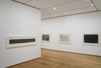 Brice Marden: A Retrospective of Paintings and Drawings. Oct 29, 2006–Jan 15, 2007.