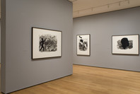 Repicturing the Past/Picturing the Present. Jun 13–Nov 5, 2007. 2 other works identified