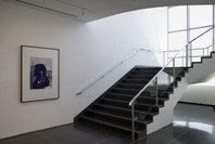 Repicturing the Past/Picturing the Present. Jun 13–Nov 5, 2007.