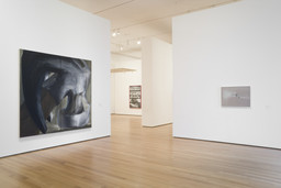 Installation photo, 3 of 48