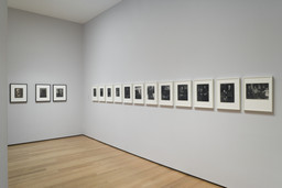 Installation photo, 4 of 26