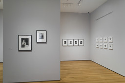 Installation photo, 7 of 26