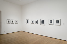 Installation photo, 10 of 26