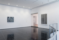 New Perspectives in Latin American Art, 1930–2006: Selections from a Decade of Acquisitions. Nov 21, 2007–Feb 25, 2008. 1 other work identified