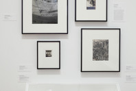 The Shaping of New Visions: Photography, Film, Photobook. Apr 16, 2012–Apr 21, 2013. 3 other works identified