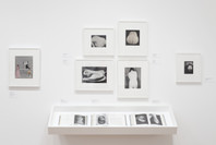 The Shaping of New Visions: Photography, Film, Photobook. Apr 16, 2012–Apr 21, 2013. 2 other works identified