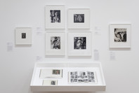 The Shaping of New Visions: Photography, Film, Photobook. Apr 16, 2012–Apr 21, 2013. 1 other work identified