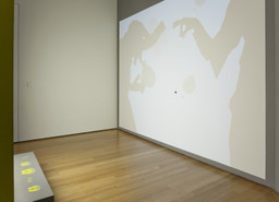 Installation photo, 52 of 52