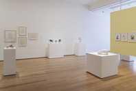 Alina Szapocznikow: Sculpture Undone, 1955–1972. Oct 7, 2012–Jan 28, 2013.