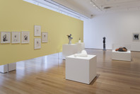 Alina Szapocznikow: Sculpture Undone, 1955–1972. Oct 7, 2012–Jan 28, 2013.