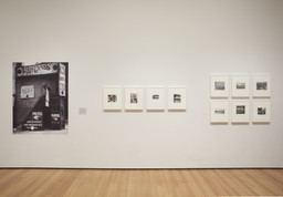 Installation photo, 9 of 11