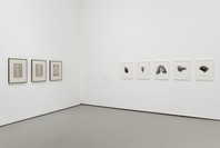 Contemporary Collection. Nov 16, 2011–Feb 9, 2014. 4 other works identified
