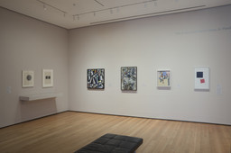 Installation photo, 41 of 42