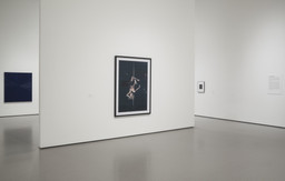 Installation photo, 135 of 144