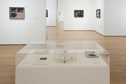Installation photo, 14 of 65