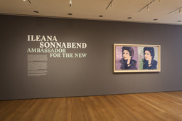 Installation photo, 1 of 32