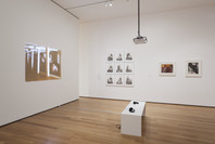 Ileana Sonnabend: Ambassador for the New. Dec 21, 2013–Apr 21, 2014. 2 other works identified