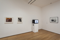 Installation photo, 8 of 32