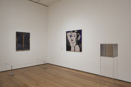 Installation photo, 19 of 32