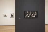 A World of Its Own: Photographic Practices in the Studio. Feb 8–Nov 2, 2014. 2 other works identified