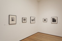 A World of Its Own: Photographic Practices in the Studio. Feb 8–Nov 2, 2014. 2 other works identified