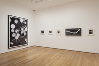 A World of Its Own: Photographic Practices in the Studio. Feb 8–Nov 2, 2014. 4 other works identified