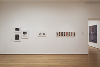 A World of Its Own: Photographic Practices in the Studio. Feb 8–Nov 2, 2014. 5 other works identified