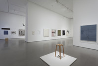 Alibis: Sigmar Polke 1963–2010. Apr 19–Aug 3, 2014.