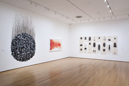 Installation photo, 3 of 43