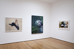 Installation photo, 5 of 43
