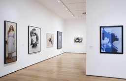 Installation photo, 7 of 43
