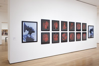 Pictures by Women: A History of Modern Photography. May 7, 2010–Apr 18, 2011. 1 other work identified