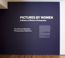 Installation photo, 4 of 43