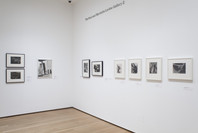 Pictures by Women: A History of Modern Photography. May 7, 2010–Apr 18, 2011. 4 other works identified