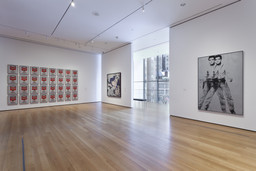 Installation photo, 7 of 10