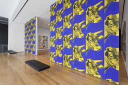 Installation photo, 4 of 10