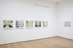 Installation photo, 3 of 13