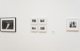 Installation photo, 6 of 13