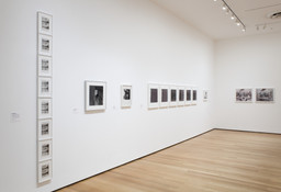 Installation photo, 8 of 13